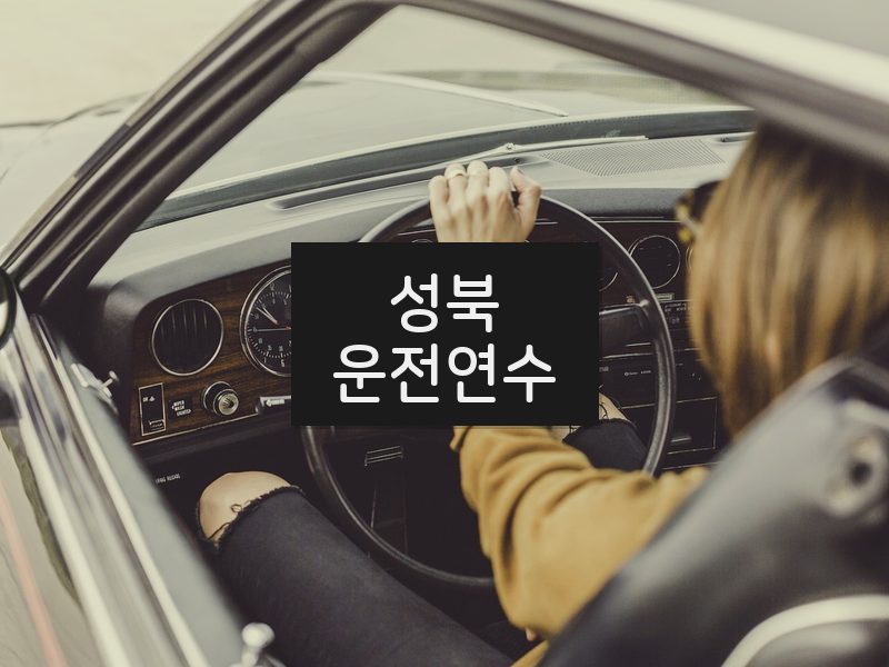 성북운전연수 후기