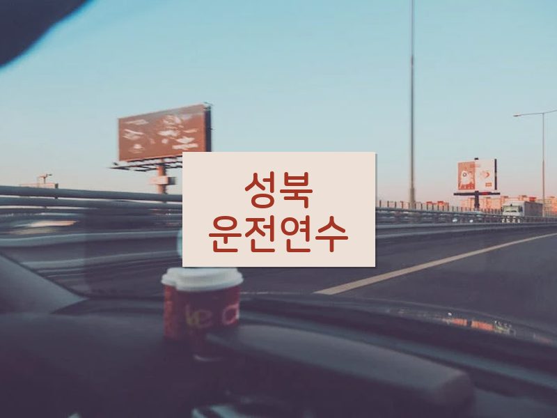 성북운전연수 후기