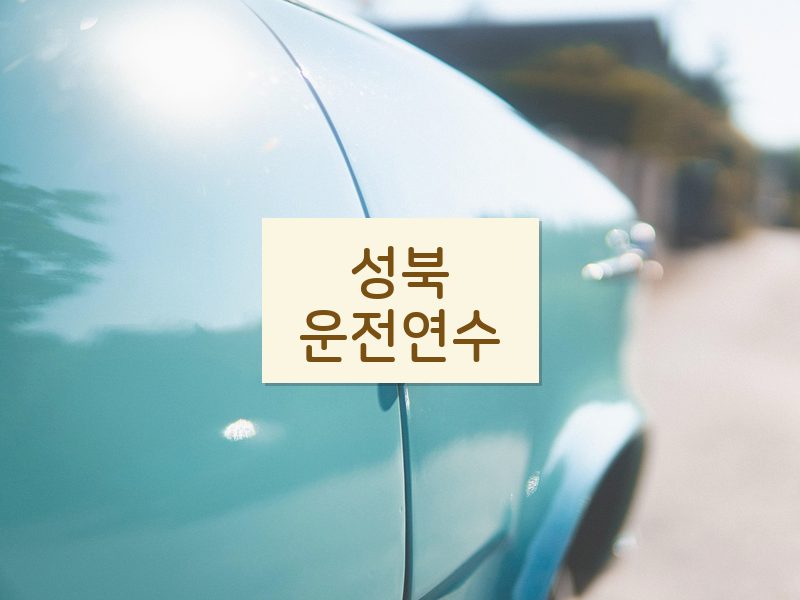 성북운전연수 후기