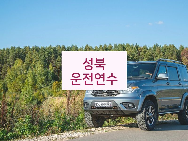 성북운전연수 후기