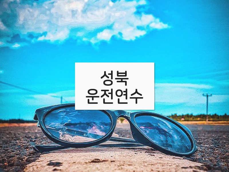 성북운전연수 후기