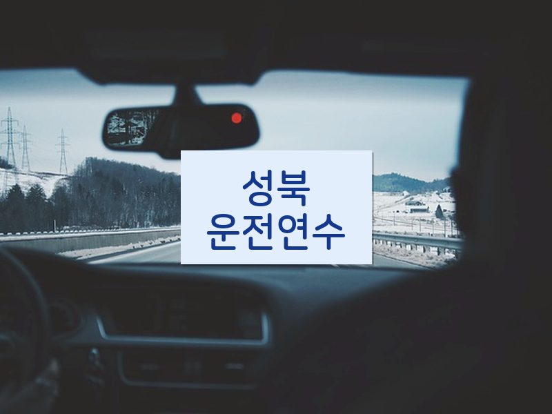 성북운전연수 후기