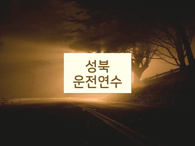 성북운전연수 후기