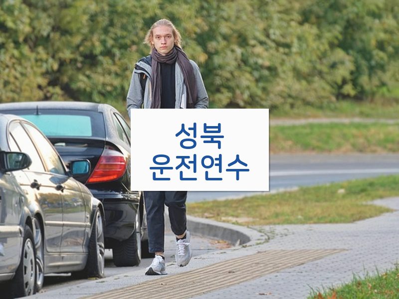 성북운전연수 후기