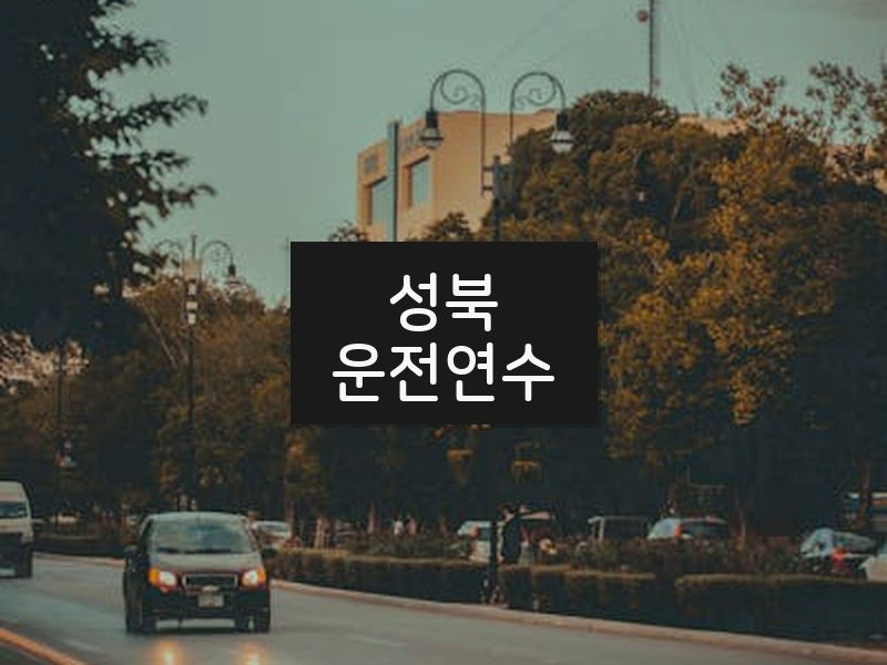 성북운전연수 후기