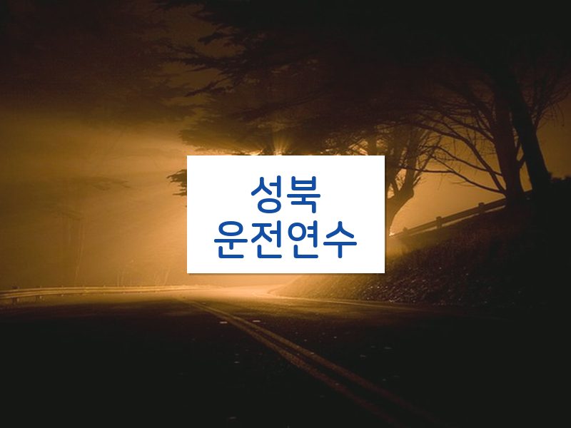 성북운전연수 후기