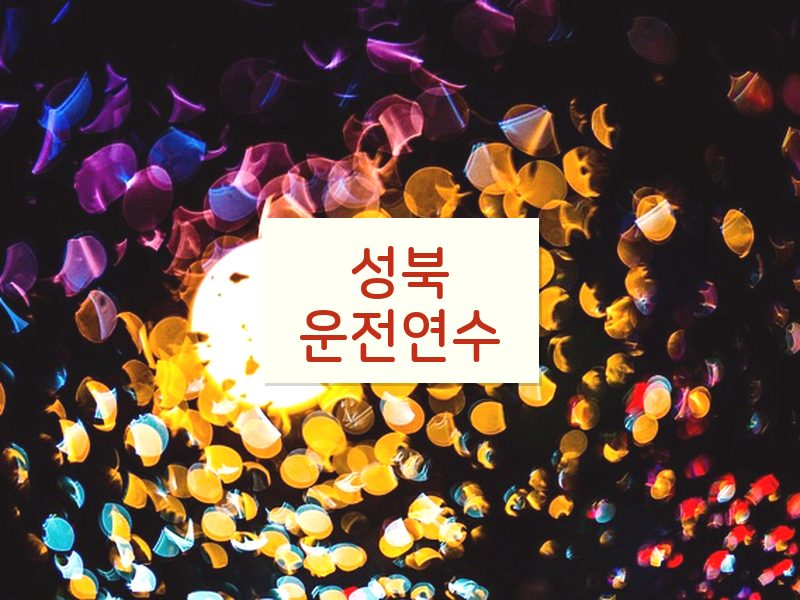 성북운전연수 후기