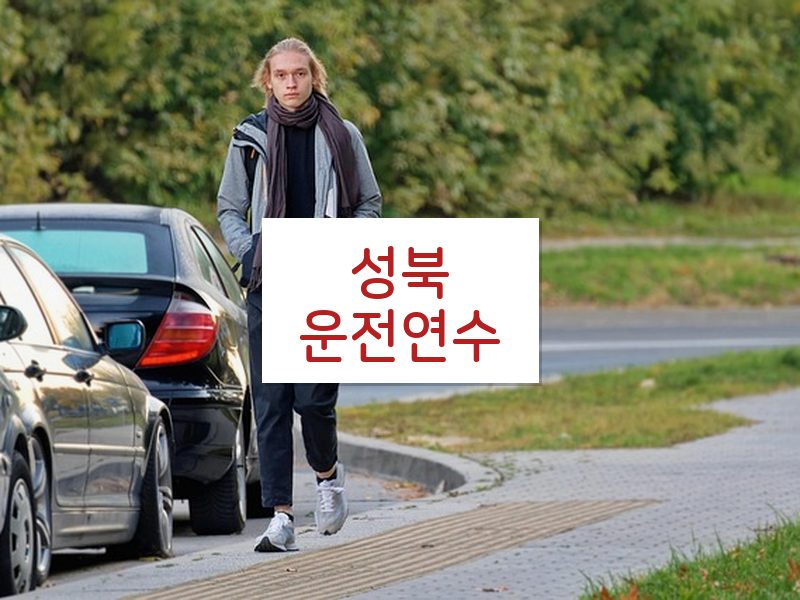 성북운전연수 후기