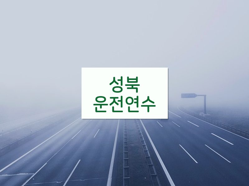 성북운전연수 후기