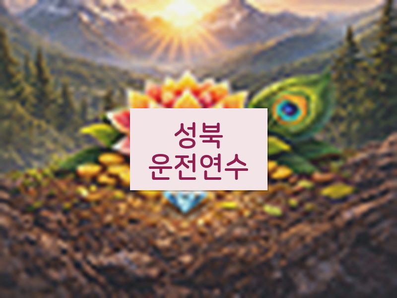 성북운전연수 후기