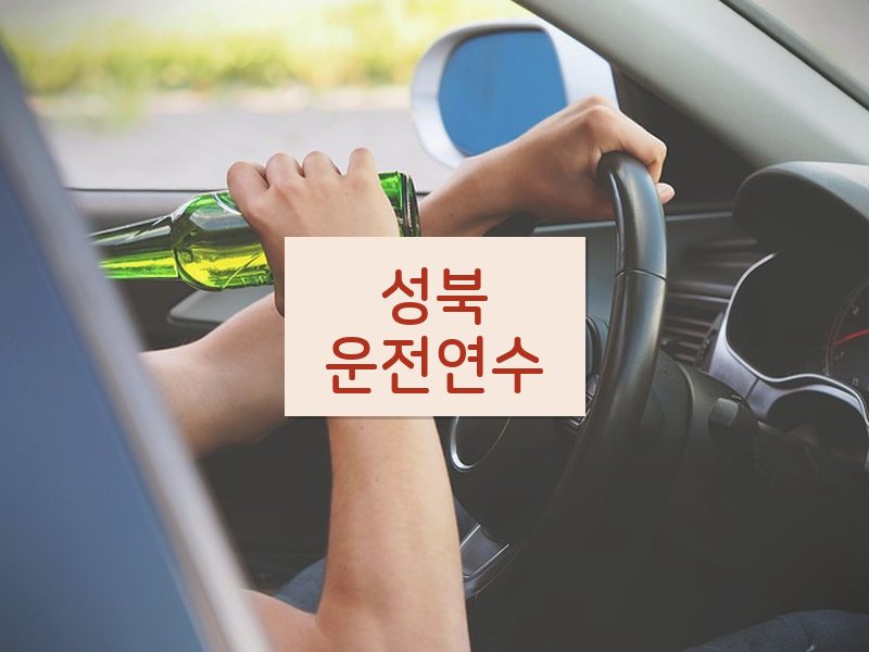 성북운전연수 후기