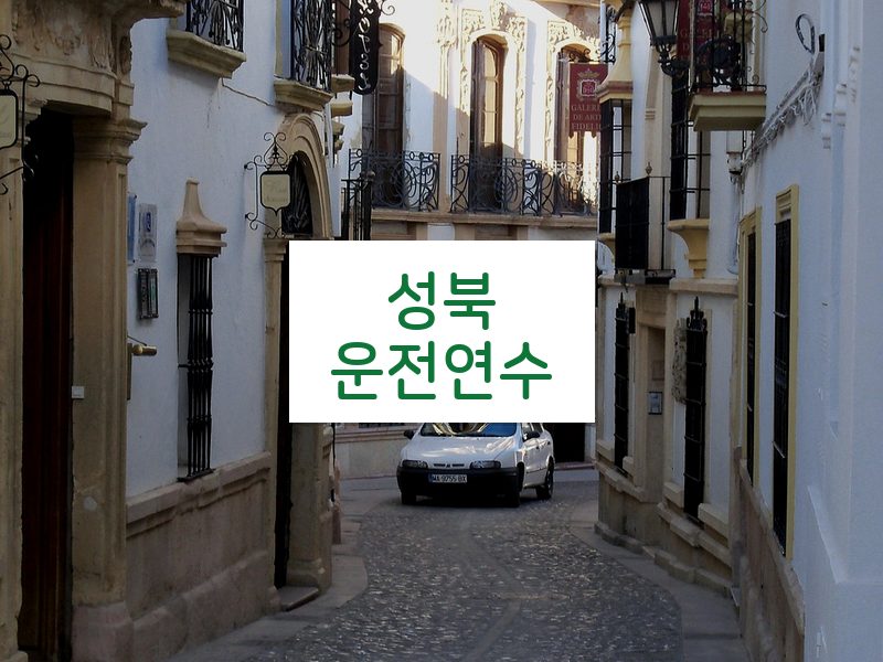 성북운전연수 후기