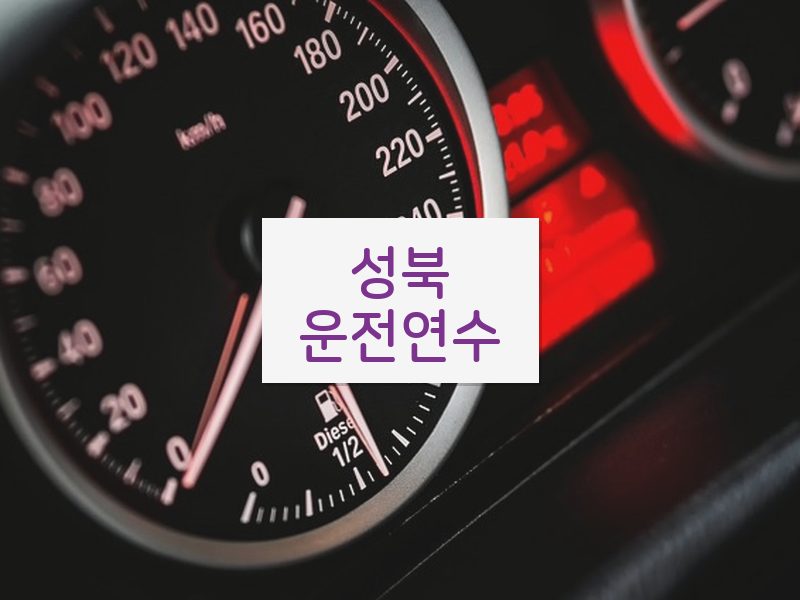 성북운전연수 후기