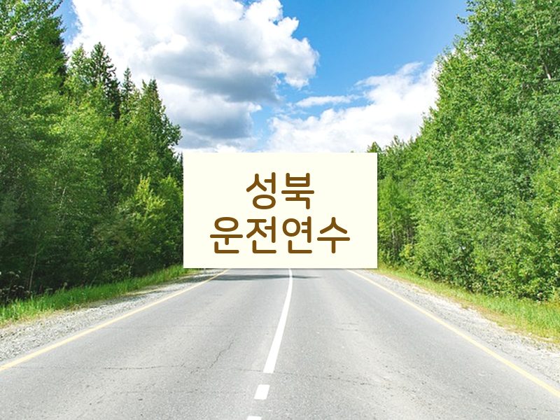성북운전연수 후기