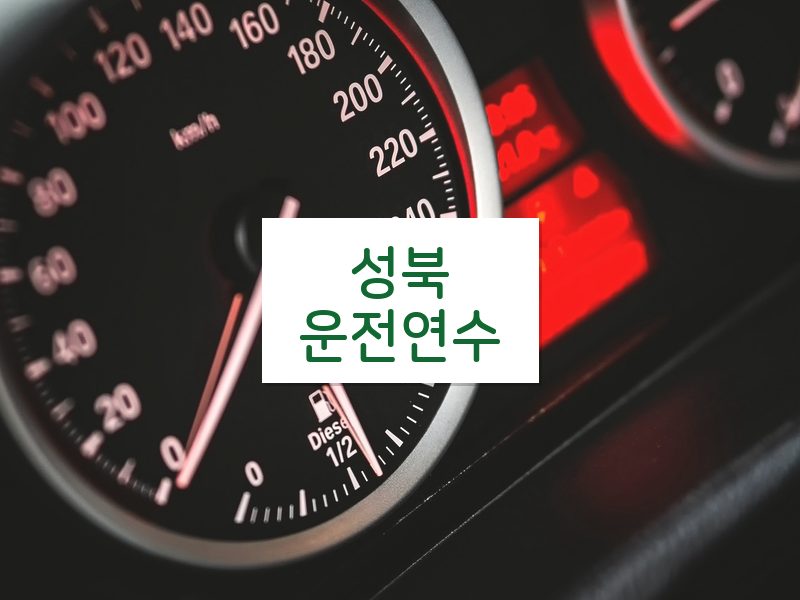 성북운전연수 후기