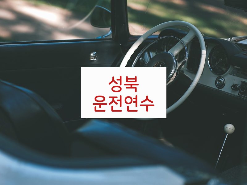 성북운전연수 후기