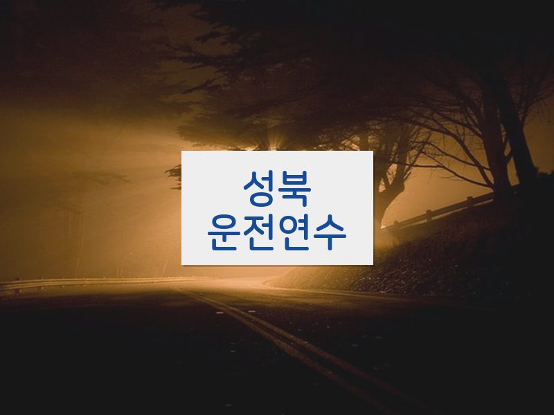 성북운전연수 후기
