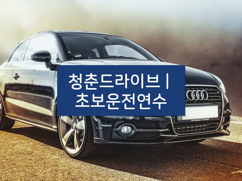 청춘드라이브 | 초보운전연수 후기