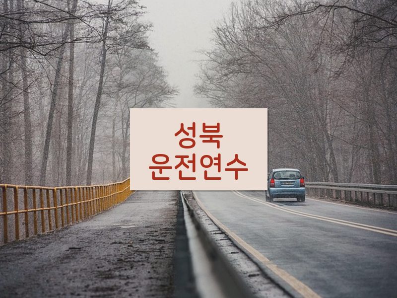 성북운전연수 후기