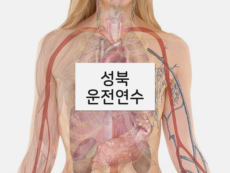 성북운전연수 후기