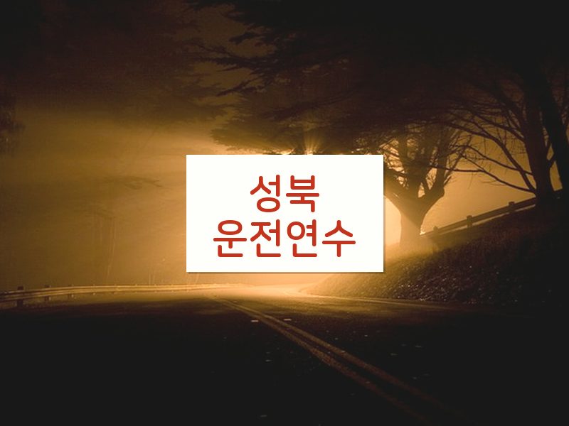 성북운전연수 후기