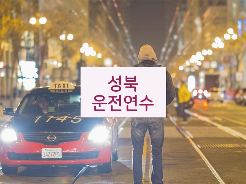 성북운전연수 후기