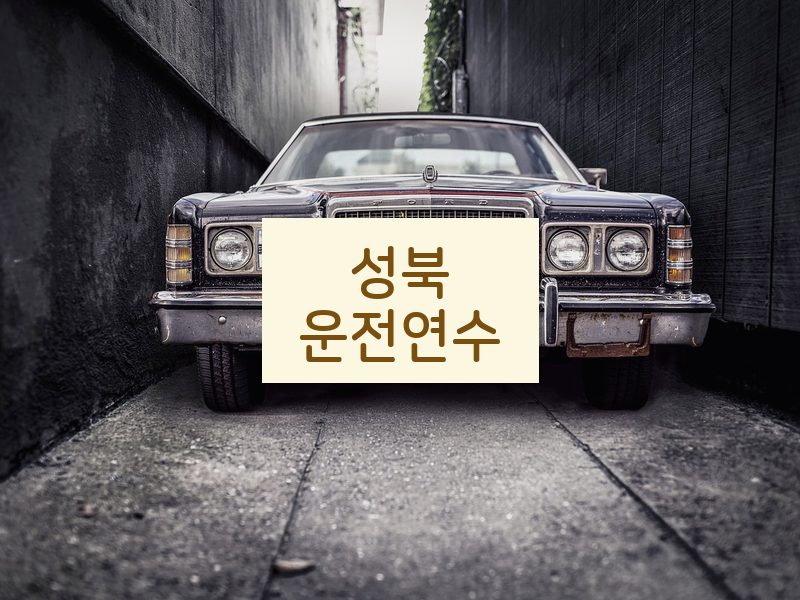 성북운전연수 후기