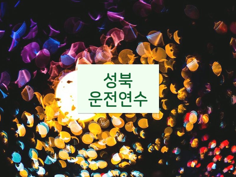 성북운전연수 후기