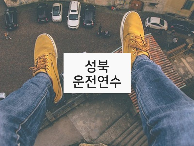 성북운전연수 후기