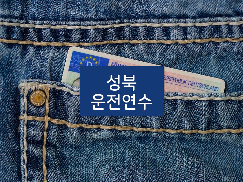 성북운전연수 후기