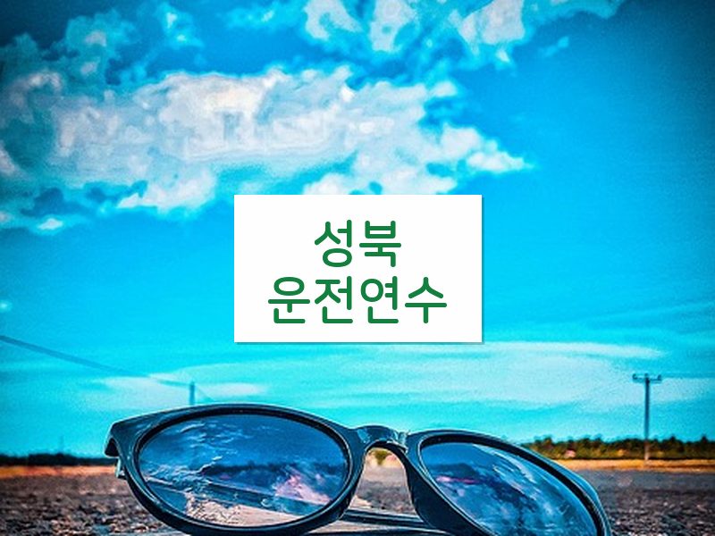 성북운전연수 후기