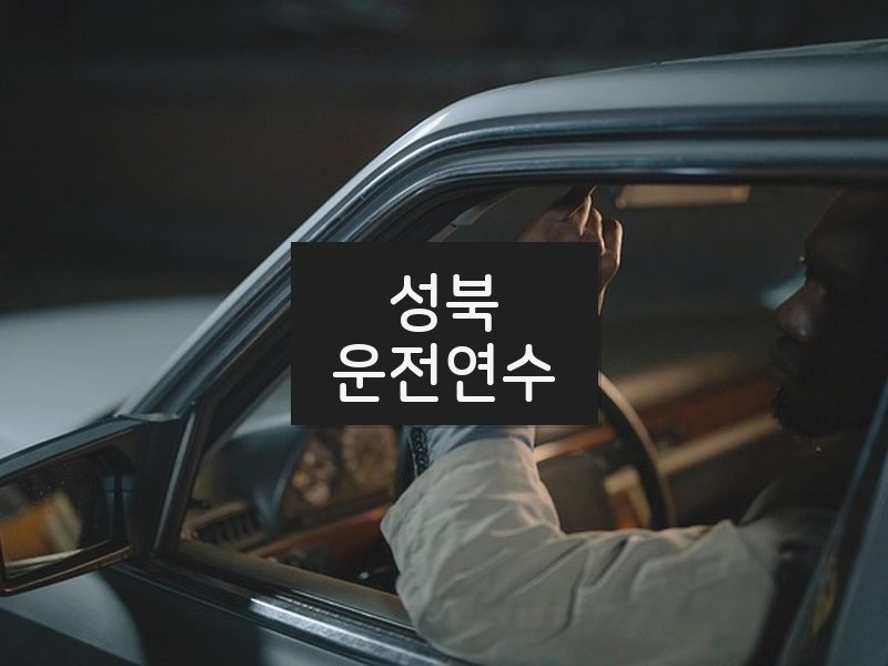 성북운전연수 후기
