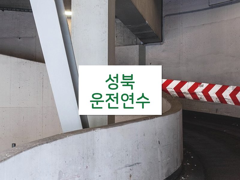 성북운전연수 후기