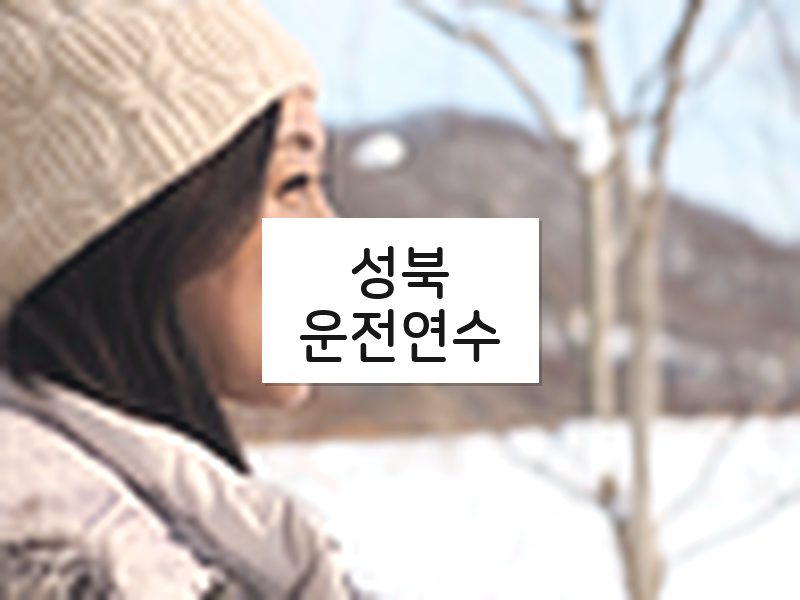 성북운전연수 후기