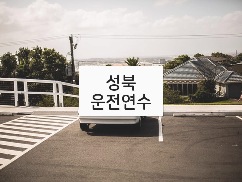 성북운전연수 후기