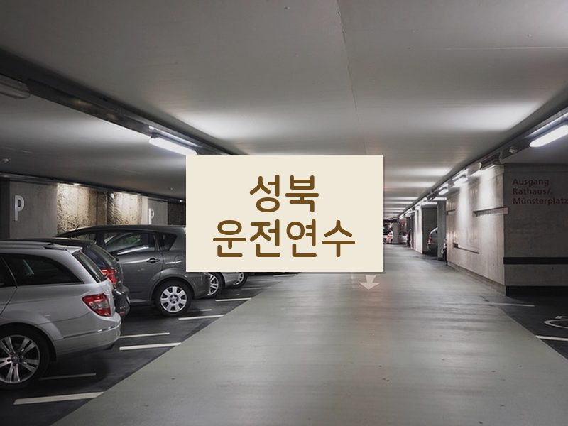 성북운전연수 후기
