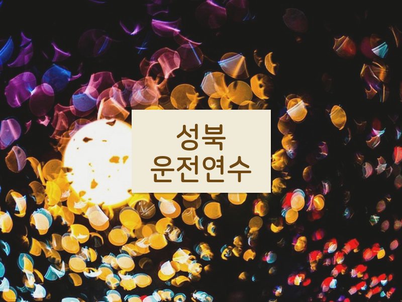 성북운전연수 후기