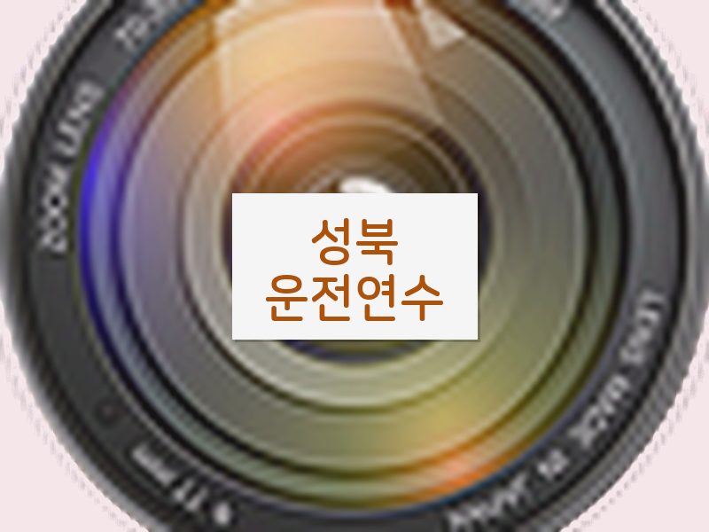 성북운전연수 후기