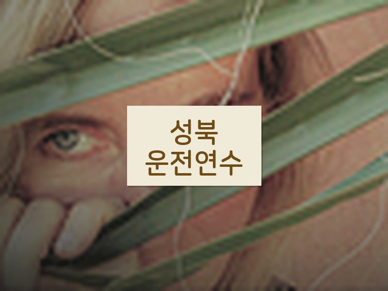 성북운전연수 후기
