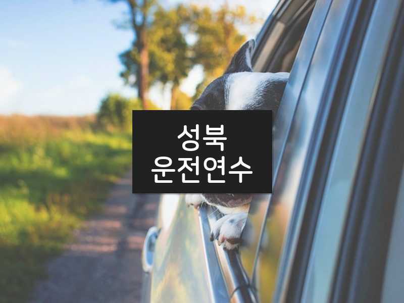 성북운전연수 후기