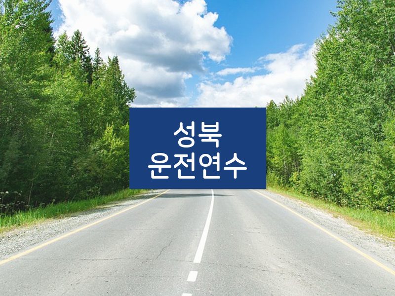 성북운전연수 후기
