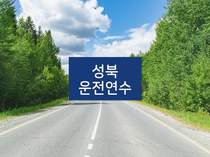 성북운전연수 후기