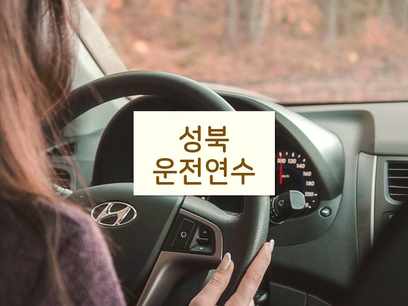 성북운전연수 후기