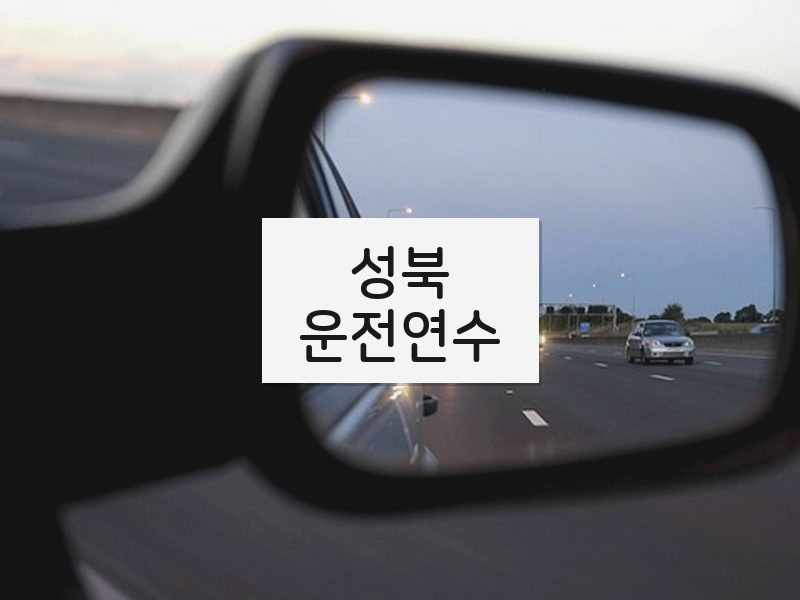 성북운전연수 후기