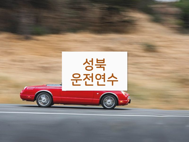 성북운전연수 후기