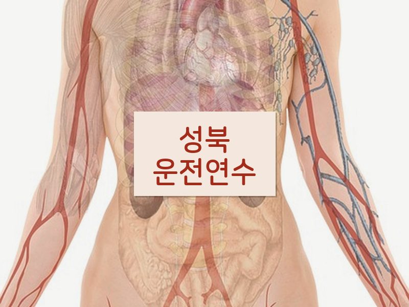 성북운전연수 후기
