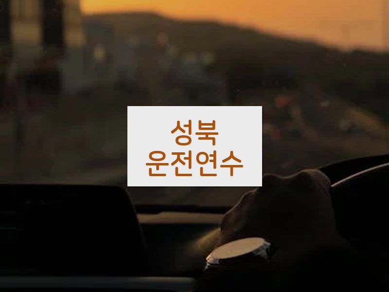 성북운전연수 후기