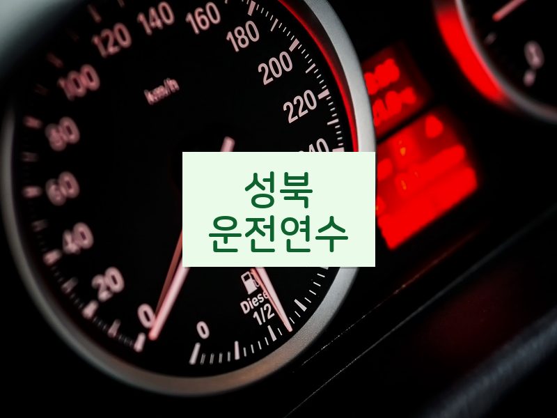 성북운전연수 후기