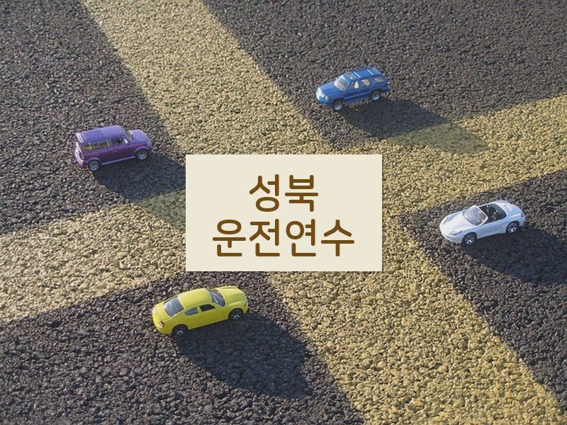 성북운전연수 후기
