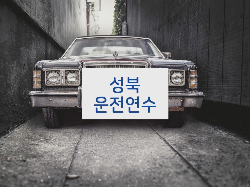성북운전연수 후기